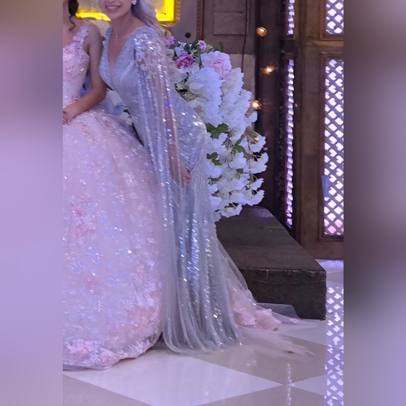 Chicas Elegant Silver Evening Gown - Picture 11 of 12